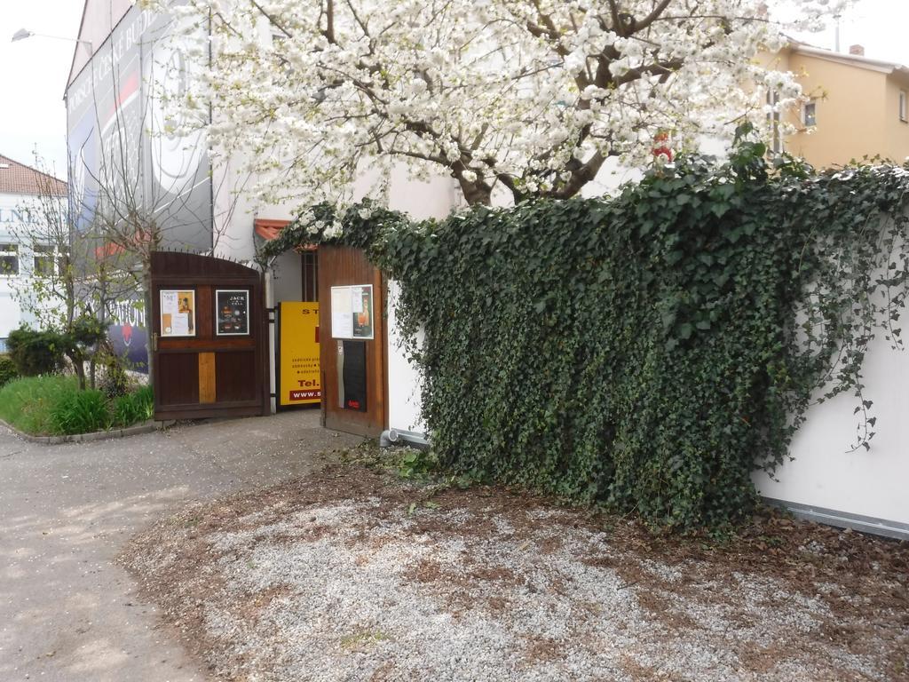 Pension Macelis Ческе-Будеёвице Экстерьер фото